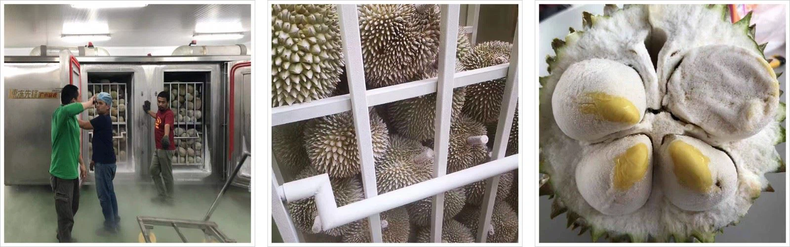 Vận chuyển và giao nhận