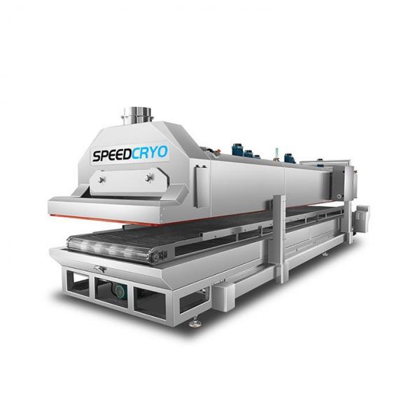Liquid Nitrogen Industrial Cabinet Quick Freezer