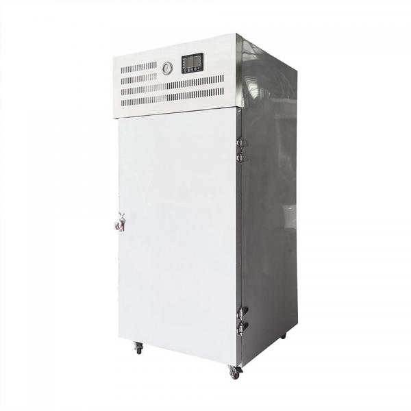 Small LN2 Cryogenic Seafood Rapid Freezer